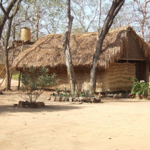 FHO Hunting Camp in CAR