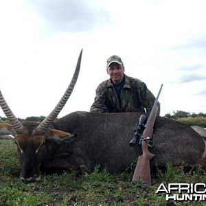 Beautiful Waterbuck hunted in South Africa