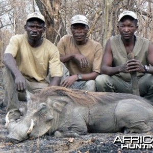 Hunting Warthog in CAR