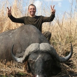 Cape Buffalo Tanzania