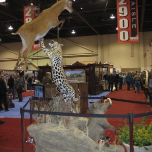 Taxidermy at Safari Club International Convention