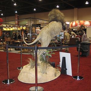 Taxidermy at Safari Club International Convention