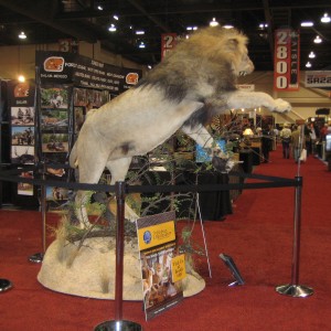 Taxidermy at Safari Club International Convention