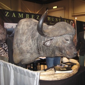 Taxidermy at Safari Club International Convention