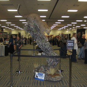 Taxidermy at Safari Club International Convention