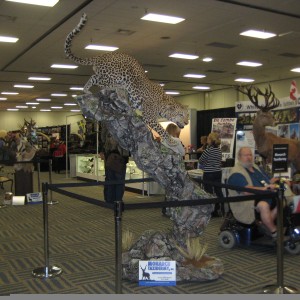 Taxidermy at Safari Club International Convention