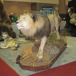 Taxidermy at Safari Club International Convention