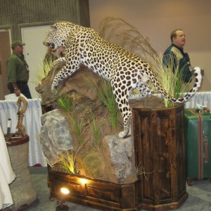 Taxidermy at Safari Club International Convention