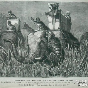 1876 Tiger Hunt India