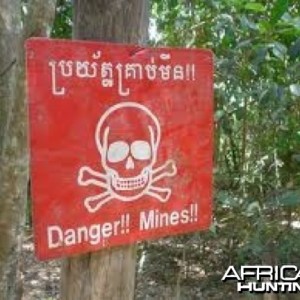 Mind the Minefield