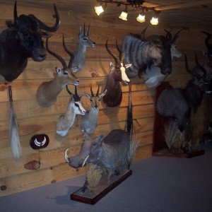 Trophy Room