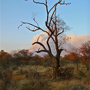 Otavi Mountains Burn