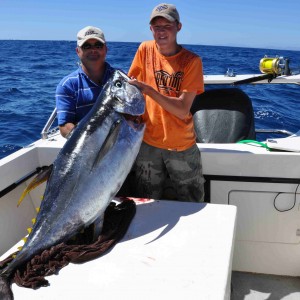 Yelowfin Tuna off Cape Canyon, South Africa