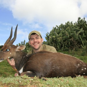 Bushbuck