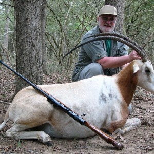 SimmSamm's Scimitar Horned Oryx