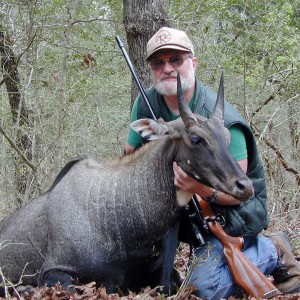 SimmSamm's Nilgai