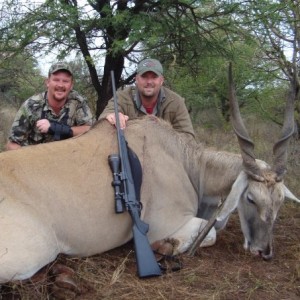 Eland South Africa