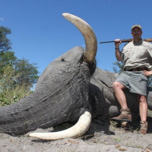 Caprivi Elephant