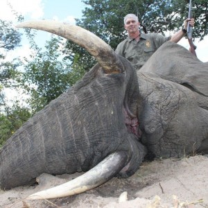 Caprivi Elephant