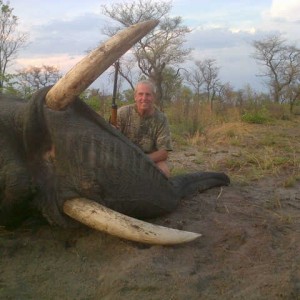 Nov 2012 Elephant Bull in Caprivi