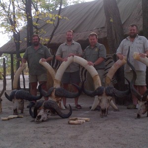 Trophies all from Nov 2012 (not all hunters present)