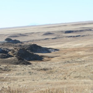 Prairie Draw