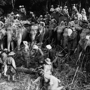 Tiger with Edward Prince of Wales in India