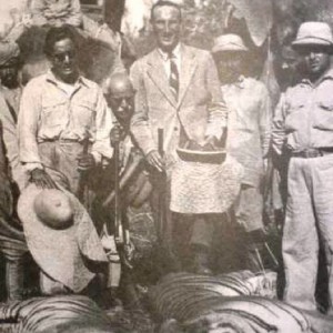 Tiger with Douglas Jardine 1936