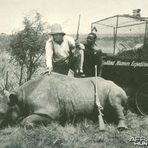 Media 'Rhino' in category 'Vintage Safari'