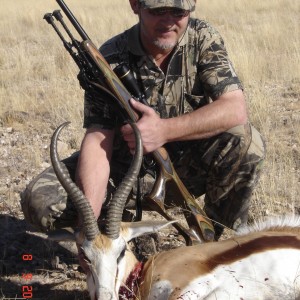 Springbok