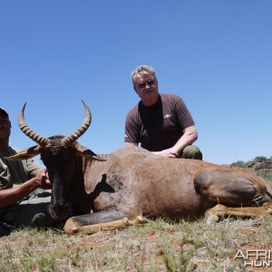 Tsessebe hunt with Wintershoek Johnny Vivier Safaris