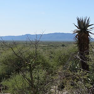 Small Waterberg Plateau Namibia