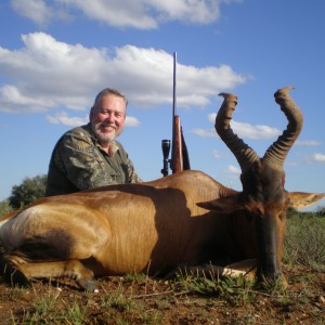 Hartebeest