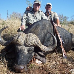 Buffalo hunted with Farren Safaris in Zimbabwe