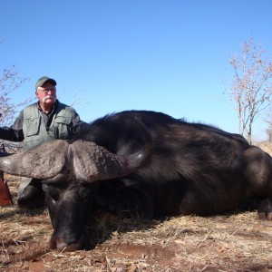 Buffalo hunted with Farren Safaris in Zimbabwe