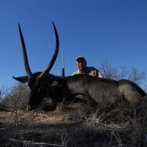 Waterbuck