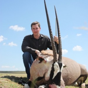 Gemsbok