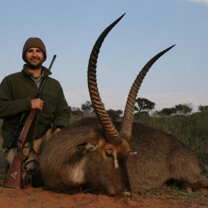 Waterbuck