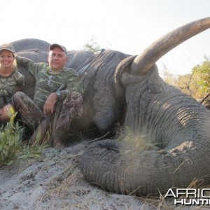 Elephant Caprivi