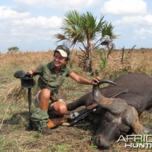 Buffalo in Mozambique