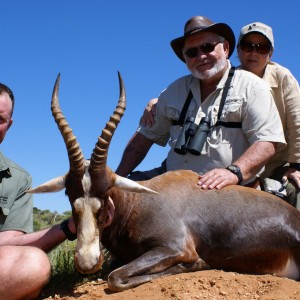 Blesbok