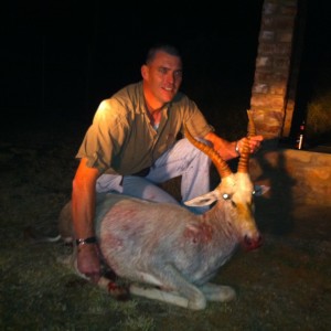 White Blesbuck .308