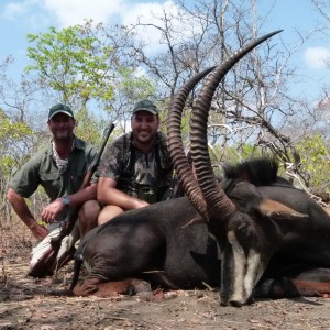 Rooseveldt sable, Mozambique 2012