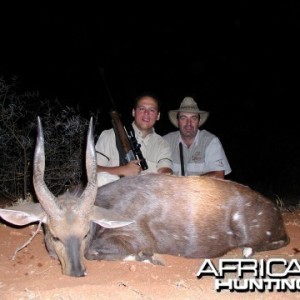 Bushbuck