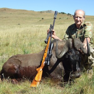 memel hunt march 2013 Black Wildebeest