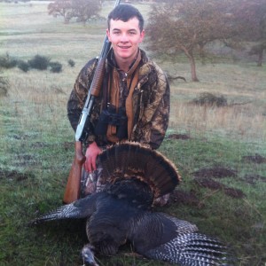 Hunting Turkey