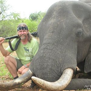 Elephant Sengwe 1 Big Game Area Zimbabwe