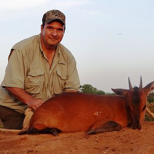 Red flanked duiker