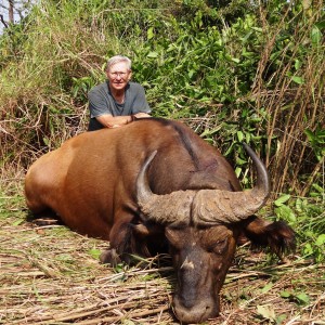 Buffalo CAR