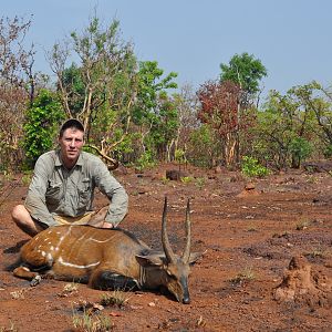 14 inch harnessed bushbuck